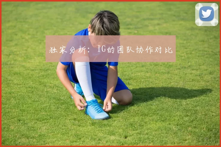 独家分析：IG的团队协作对比