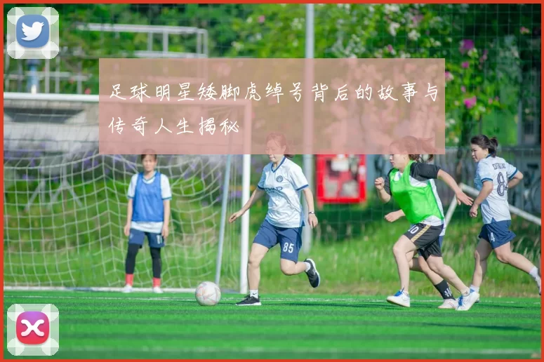 足球明星矮脚虎绰号背后的故事与传奇人生揭秘