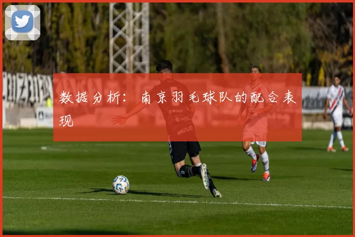 数据分析：南京羽毛球队的配合表现