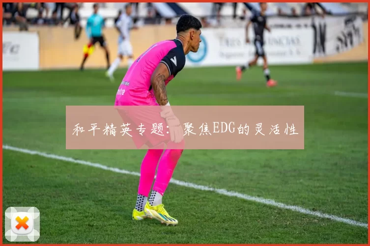 和平精英专题：聚焦EDG的灵活性